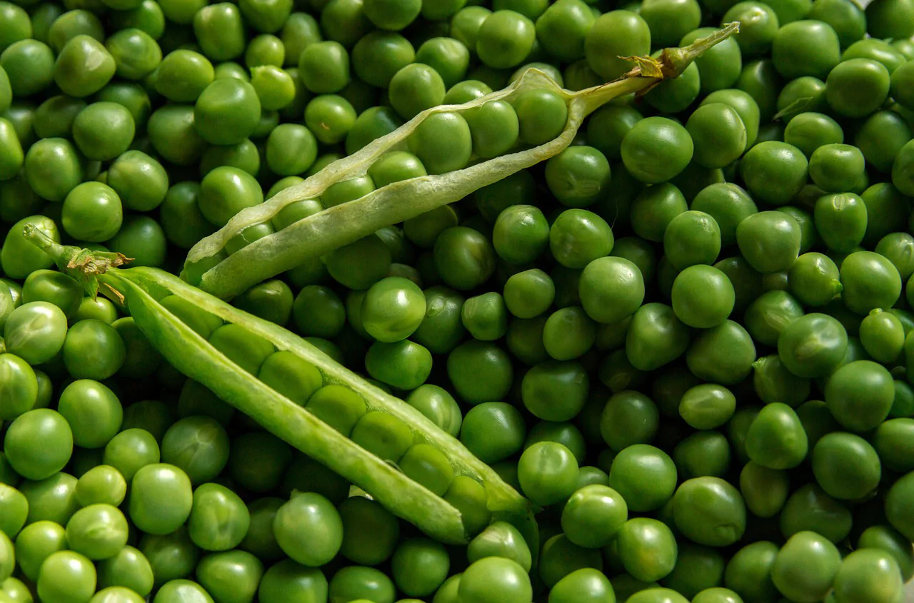 green pea