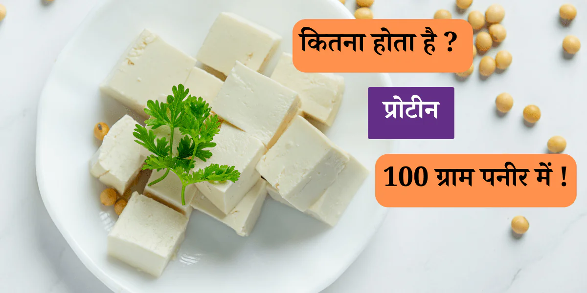 paneer in bowl with text saying how much protein in paneer in hindi